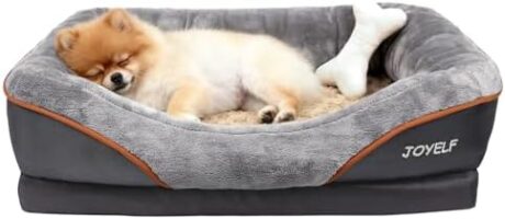 JOYELF Memory Foam Dog Bed Small Orthopedic Dog Bed & Sofa with Removable Washable Cover and Squeaker Toy as Gift