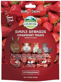 Oxbow Simple Rewards Small Pet Treats, Freeze Dried Fruit, Guinea Pig & Bunny Treats, Healthy Pet Fruit Snack for Rabbit & Guinea Pig, Freeze Dried Strawberries, 0.5 oz Bag