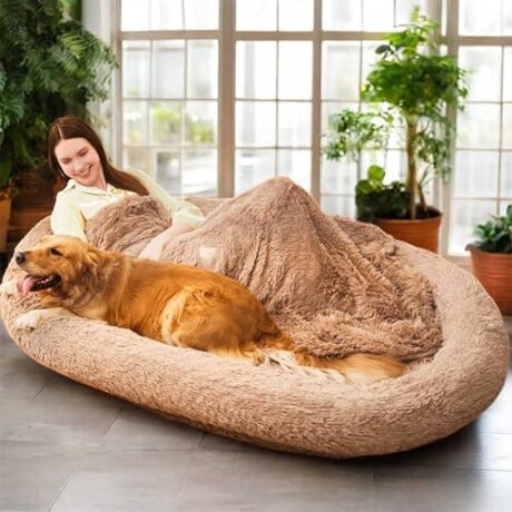 PlushHaven Deluxe Comfort Lounge Human Dog Bed with Pillow and Blanket for Adults, Kids and Pets. Large Plush Memory Foam Lounger Bed with Water Proof Cover, Brown