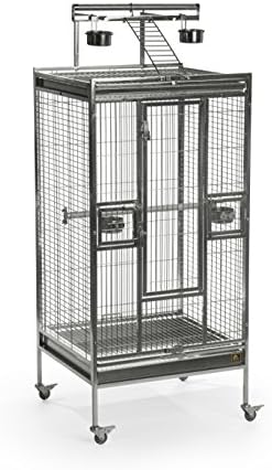 Prevue Pet Products Stainless Steel Playtop Bird Cage - Ideal for Cockatiels, Quakers, Green Cheek Conures, Parakeets, Lovebirds, Small Amazons, Parrots, Rolling Enclosure - Stainless Steel, Medium