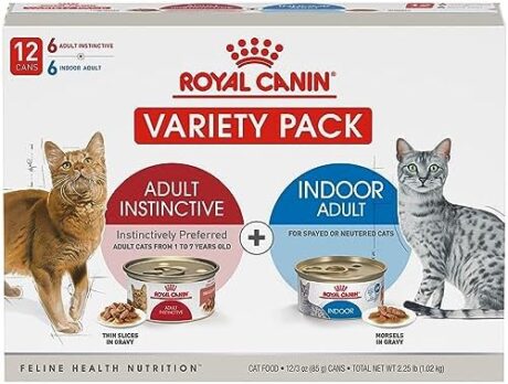 Royal Canin Feline Health Nutrition Indoor Adult & Adult Instinctive Thin Slices in Gravy and Morsels in Gravy Variety Pack Cat Food, 3 oz (Pack of 12)