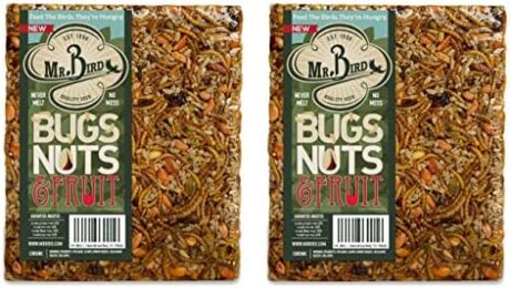 2-Pack of Mr. Bird Bugs, Nuts, Fruit Large Wild Bird Seed Cake 1 lb. 10 oz.