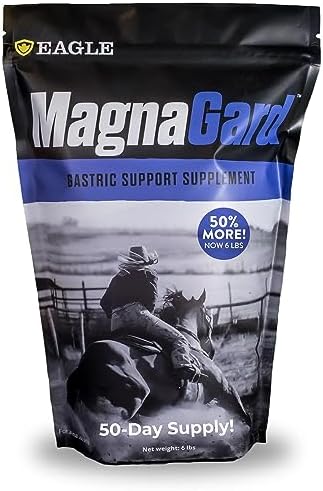 Gastric Support Supplement for Horses | Relieves Ulcers, Calming Supplement, Magnesium & Other Vital Minerals | Powder, 6 Pound Bag, 45-Day Supply | by Eagle Equine