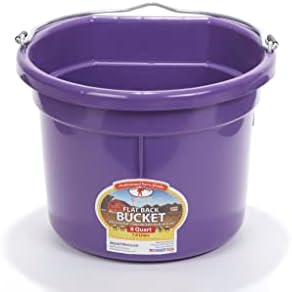 Little Giant® Flat Back Plastic Animal Feed Bucket | Animal Feed Bucket with Metal Handle | Horse Stall Feeding and Watering Supplies (Purple, 8 Quart)