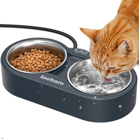 Outdoor Heated Water Bowl for Cat: Heated Cat Bowl - 47 OZ Outdoor Heated Pet Bowl with Stainless Steel Bowl, Heated Water Food Bowl for Cat Pet, Thermal Pet Bowl Provide Water and Hot Food in Winter