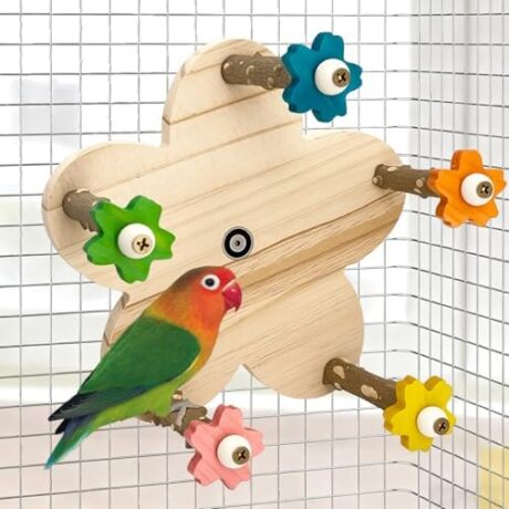 Parakeet Toys, Natural Wood Perch with 5 Branches, Unique Durable Avian Cage Accessories for Parakeets, Cockatiels, Budgerigars, Conures, Lovebirds