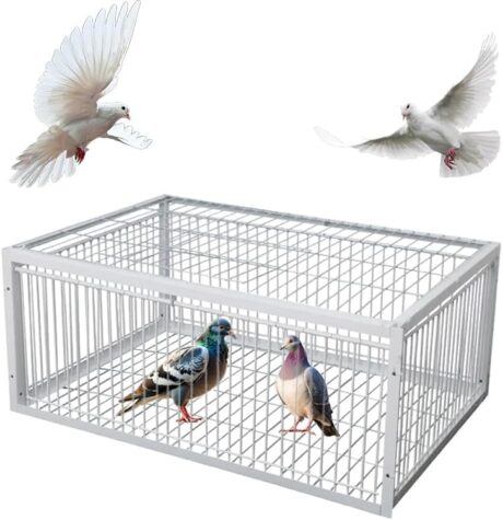 Pigeon Trap Cage with Escape-Proof Design Chicken Trap Bird Cage with One Way Entrance for Sparrows Quails Bird Chick and Duckling (15.75”L x 11.8” W x 10.24” H)