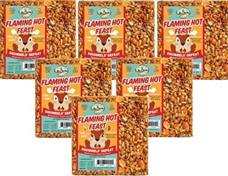 6-Pack of Mr. Bird Flaming Hot Feast Small Wild Bird Seed Cake 4 oz.