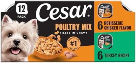 Cesar Filets in Gravy Adult Wet Dog Food Variety Pack, Poultry Lovers with Rotisserie Chicken Flavor and Turkey Recipe, 3.5 oz. Easy Peel Dog Food Tray, 12 Count (Pack of 2)