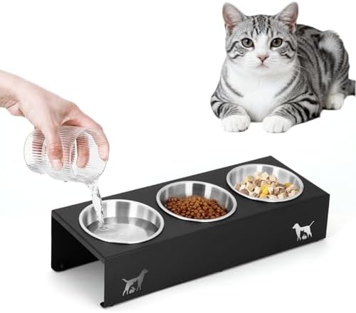 Elevated-Cat-Food-Bowls-15°-Tilted-Stainless-Steel-Cat.jpg