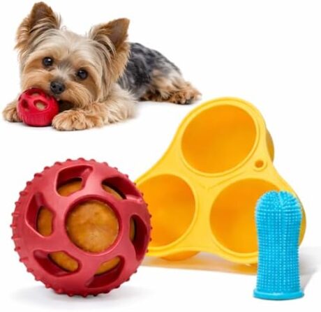 Interactive Dog Treat Dispenser Ball Toy W/Finger Toothbrush Small Dogs 5-20 lb
