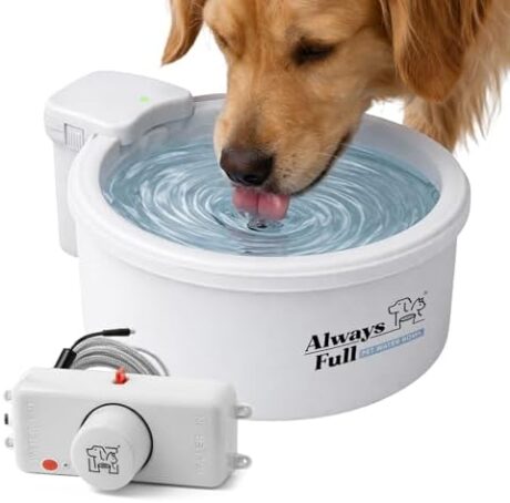 9" Self-Refilling Dog Water Bowl with Wall Unit