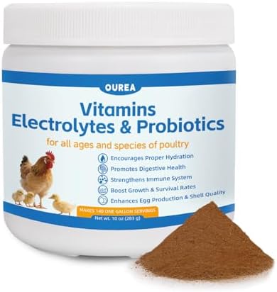 Chicken Vitamin, Electrolyte & Probiotic Supplement - Support Hydration Digestion Immunity Egg Production – Poultry Supplement for Chickens, Ducks, and All Ages of Birds – All-Season Use,10oz Powder