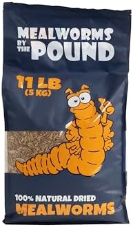 Premium Dried Mealworms for Chickens, Ducks & Wild Birds – High Protein Chicken Treats – 100% Natural, Non-GMO, No Fillers – Supports Feather Growth & Natural Foraging – Resealable Bulk Bag (11 lb)
