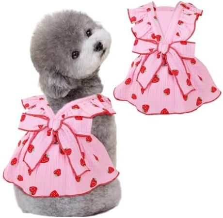 Dog Dresses for Girls, 100% Cotton Clothes With Leash Ring & Bow Decor, Cute Strawberry Print Summer Cat Dresses (Pink, X-Small)